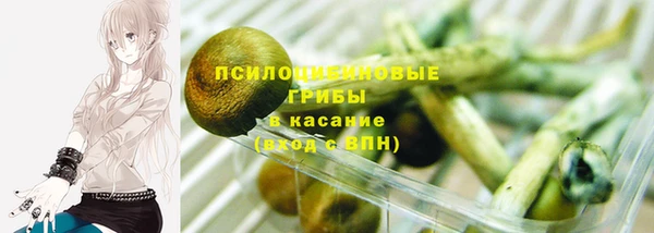 ECSTASY Белоозёрский