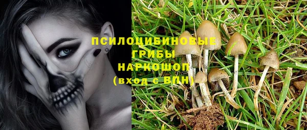 ECSTASY Белокуриха