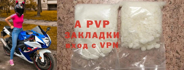 ECSTASY Белокуриха
