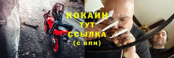 ECSTASY Белокуриха