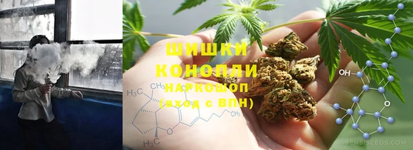 ECSTASY Белокуриха