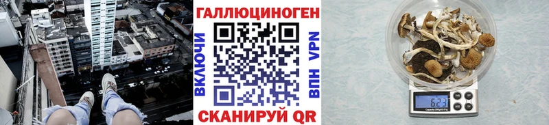 MEGA как войти  Горняк  darknet телеграм  Галлюциногенные грибы GOLDEN TEACHER 
